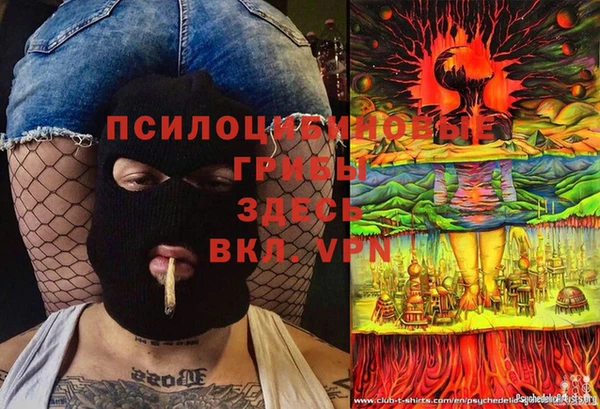 марки nbome Богданович