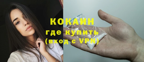 шишки Белокуриха