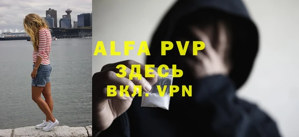 шишки Белокуриха