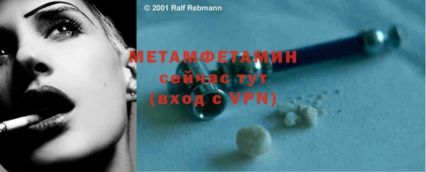 шишки Белокуриха
