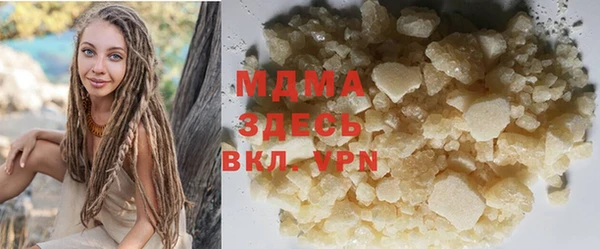 шишки Белокуриха
