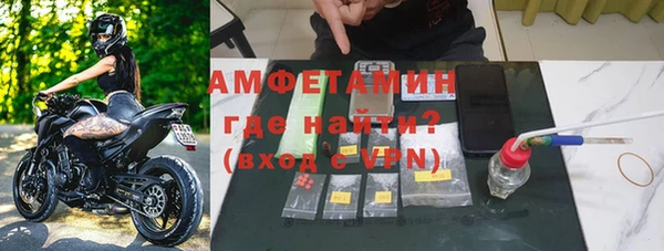 шишки Белокуриха