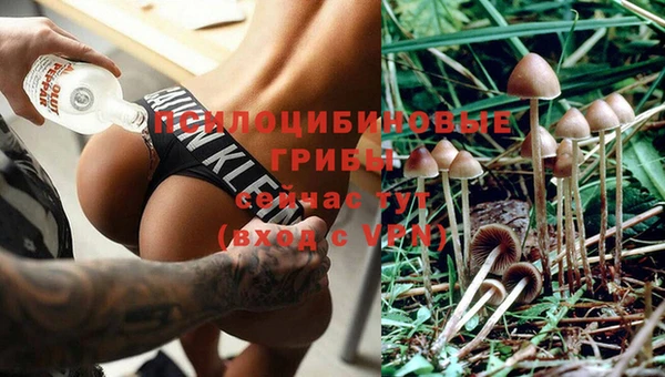 a pvp Богородск