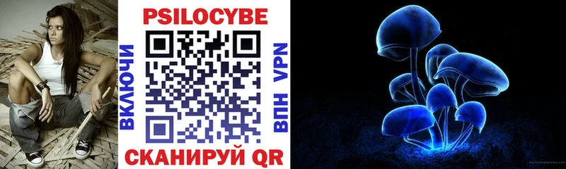 Галлюциногенные грибы прущие грибы  Ельня 